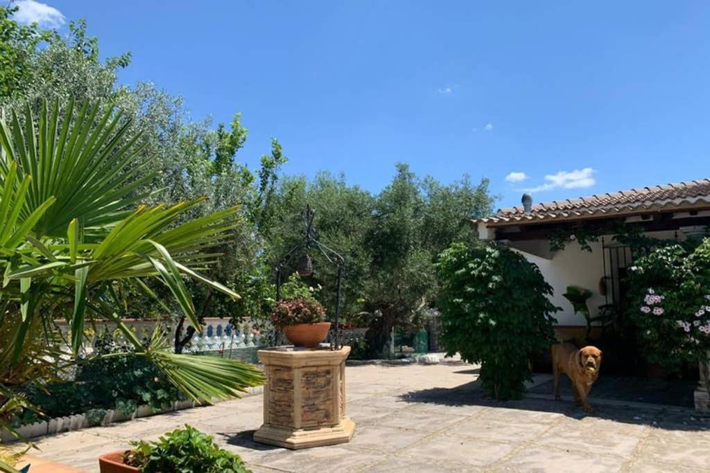 Casa Rural Finca Las Tejoneras Bornos Εξωτερικό φωτογραφία