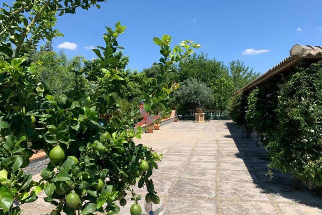Casa Rural Finca Las Tejoneras Bornos Εξωτερικό φωτογραφία