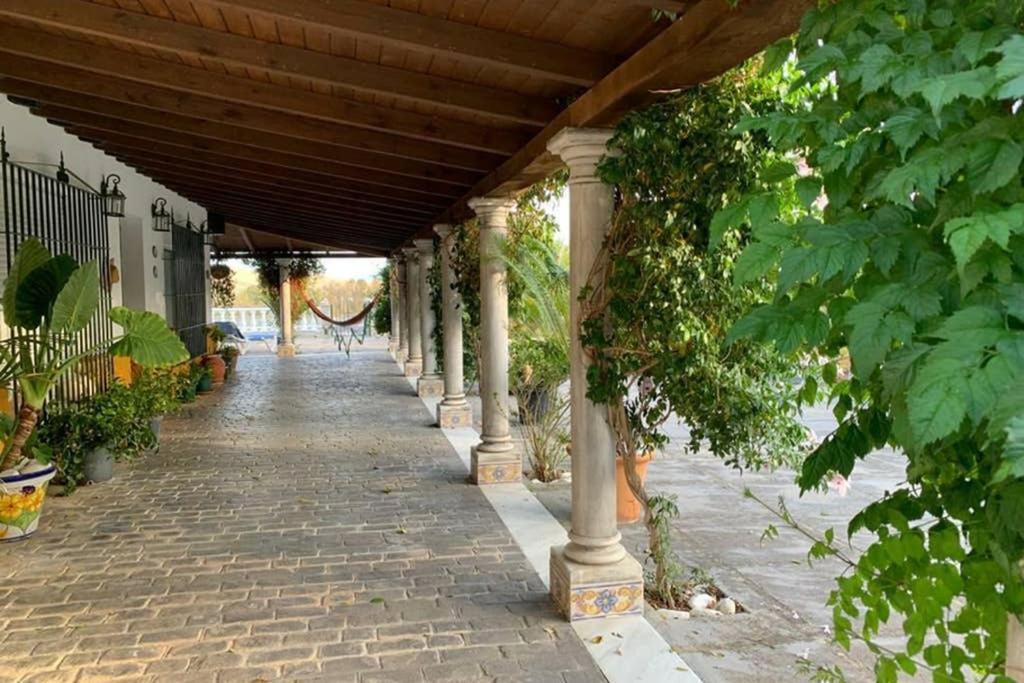 Casa Rural Finca Las Tejoneras Bornos Εξωτερικό φωτογραφία