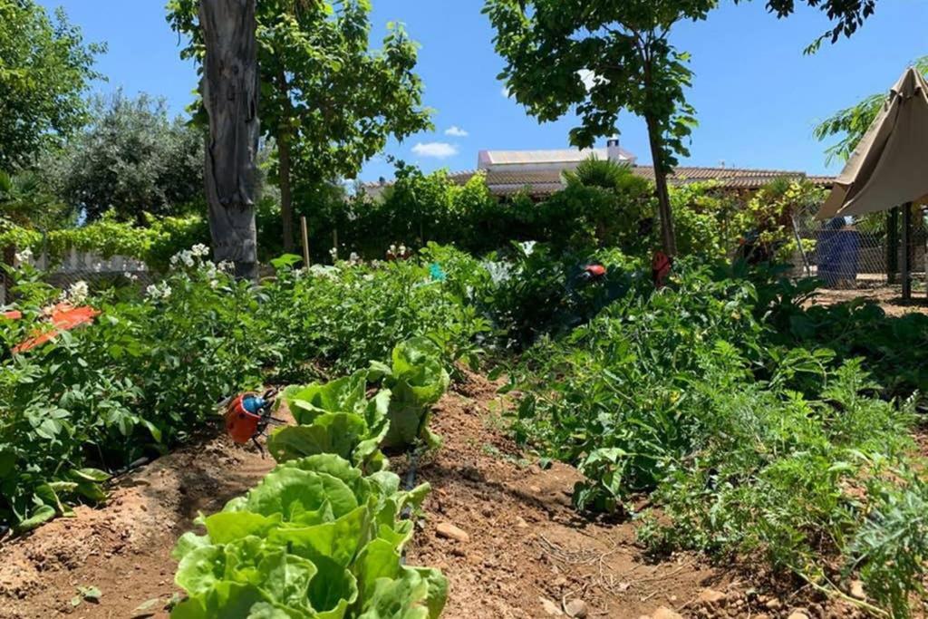 Casa Rural Finca Las Tejoneras Bornos Εξωτερικό φωτογραφία