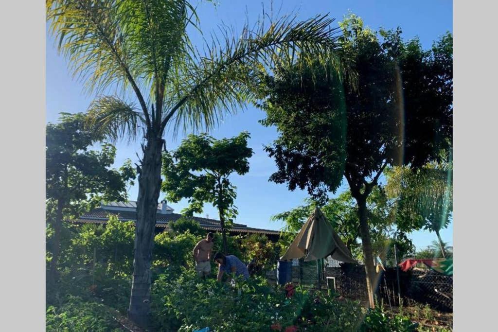 Casa Rural Finca Las Tejoneras Bornos Εξωτερικό φωτογραφία