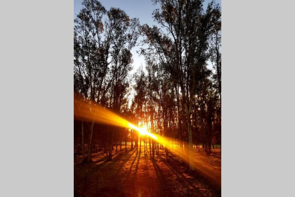 Casa Rural Finca Las Tejoneras Bornos Εξωτερικό φωτογραφία