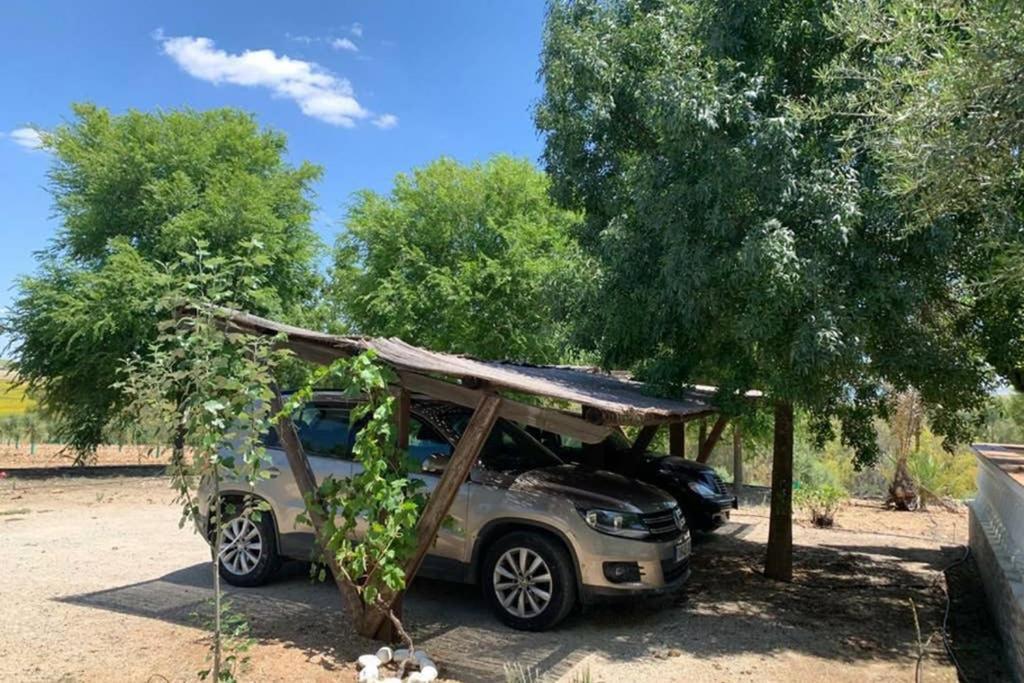 Casa Rural Finca Las Tejoneras Bornos Εξωτερικό φωτογραφία