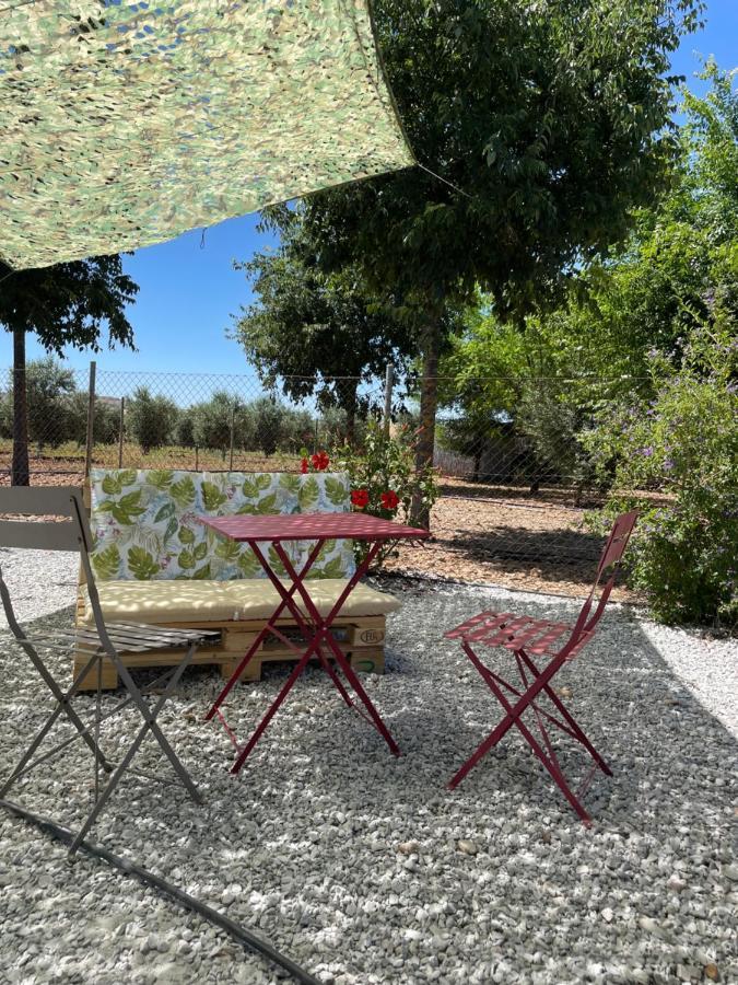 Casa Rural Finca Las Tejoneras Bornos Εξωτερικό φωτογραφία
