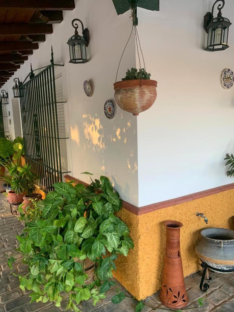 Casa Rural Finca Las Tejoneras Bornos Εξωτερικό φωτογραφία