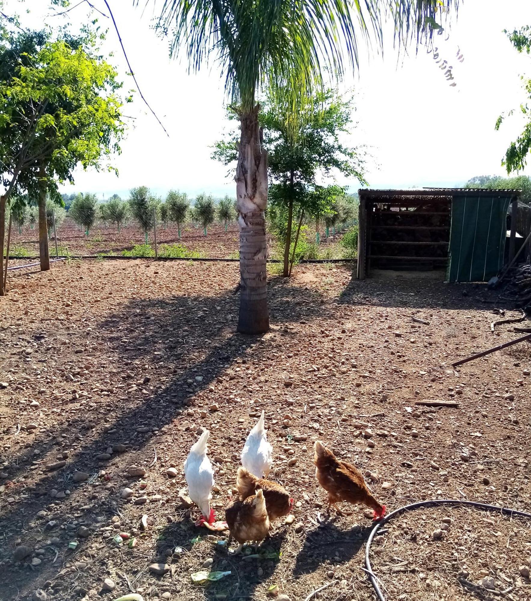 Casa Rural Finca Las Tejoneras Bornos Εξωτερικό φωτογραφία